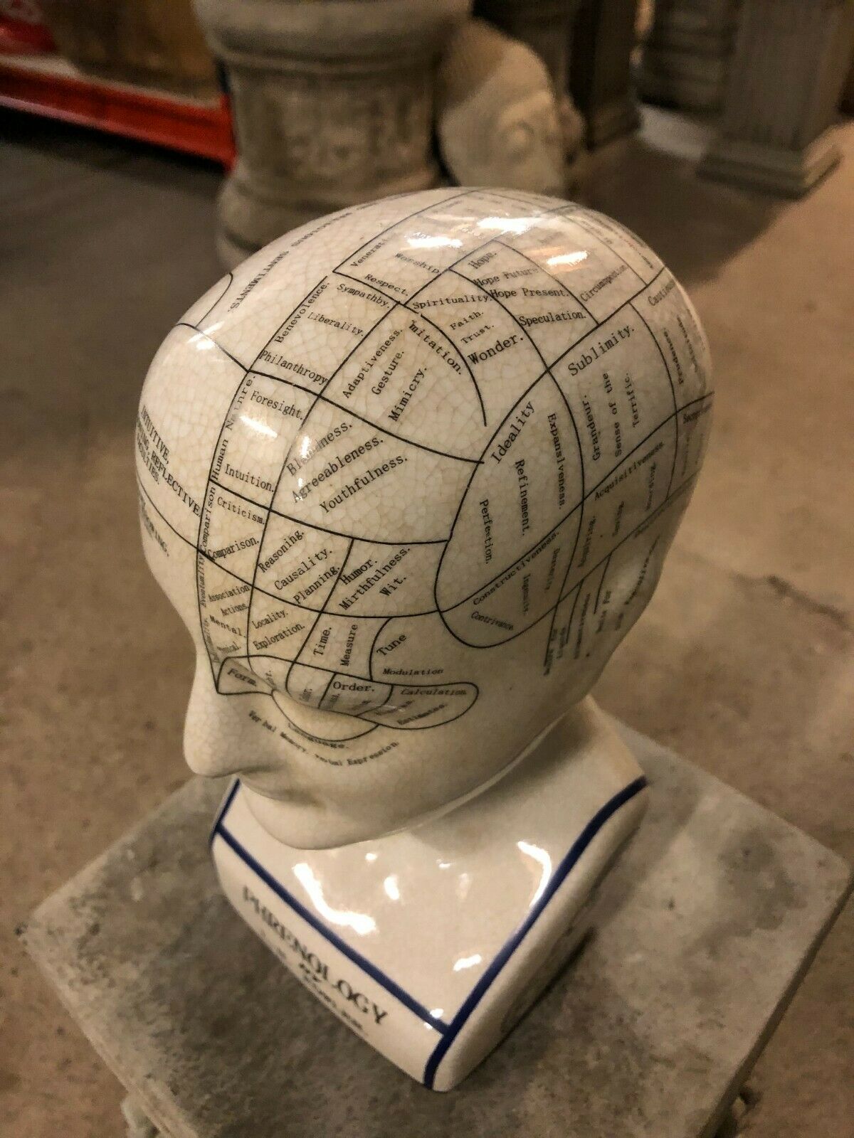 Ceramic Phrenology Head Ornament