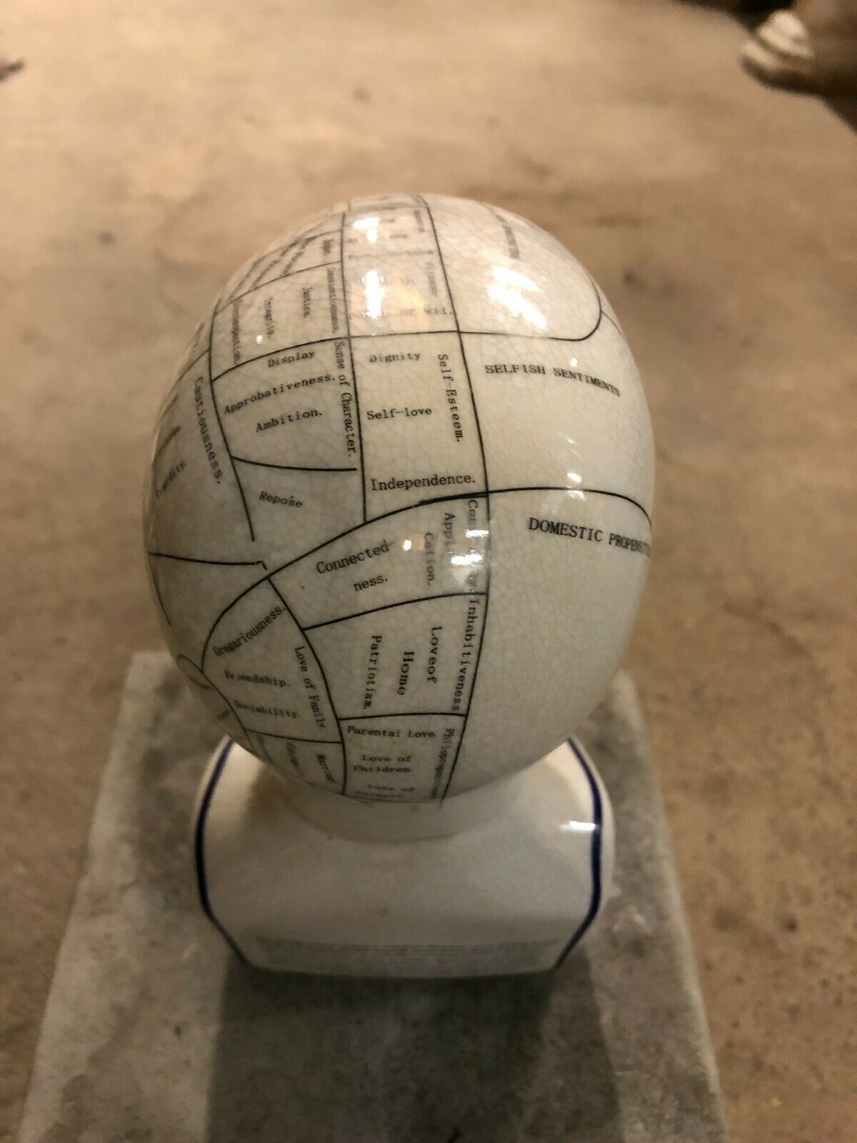 Ceramic Phrenology Head Ornament