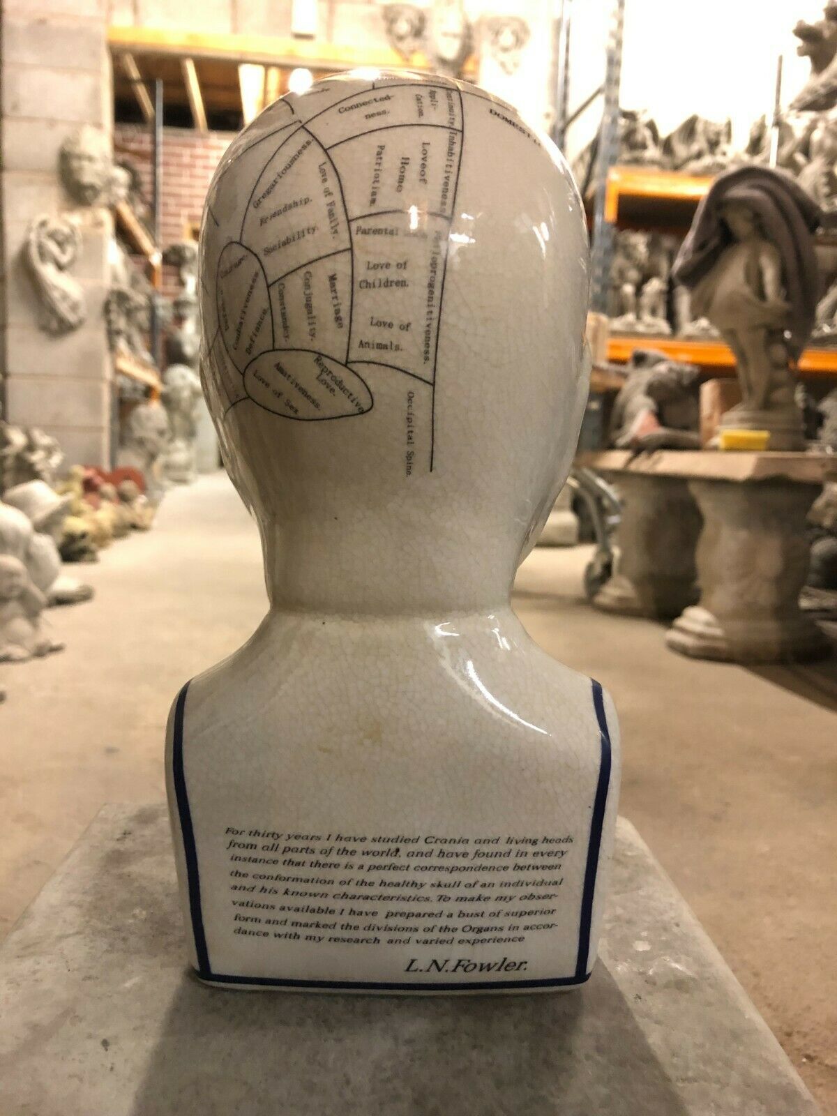 Ceramic Phrenology Head Ornament