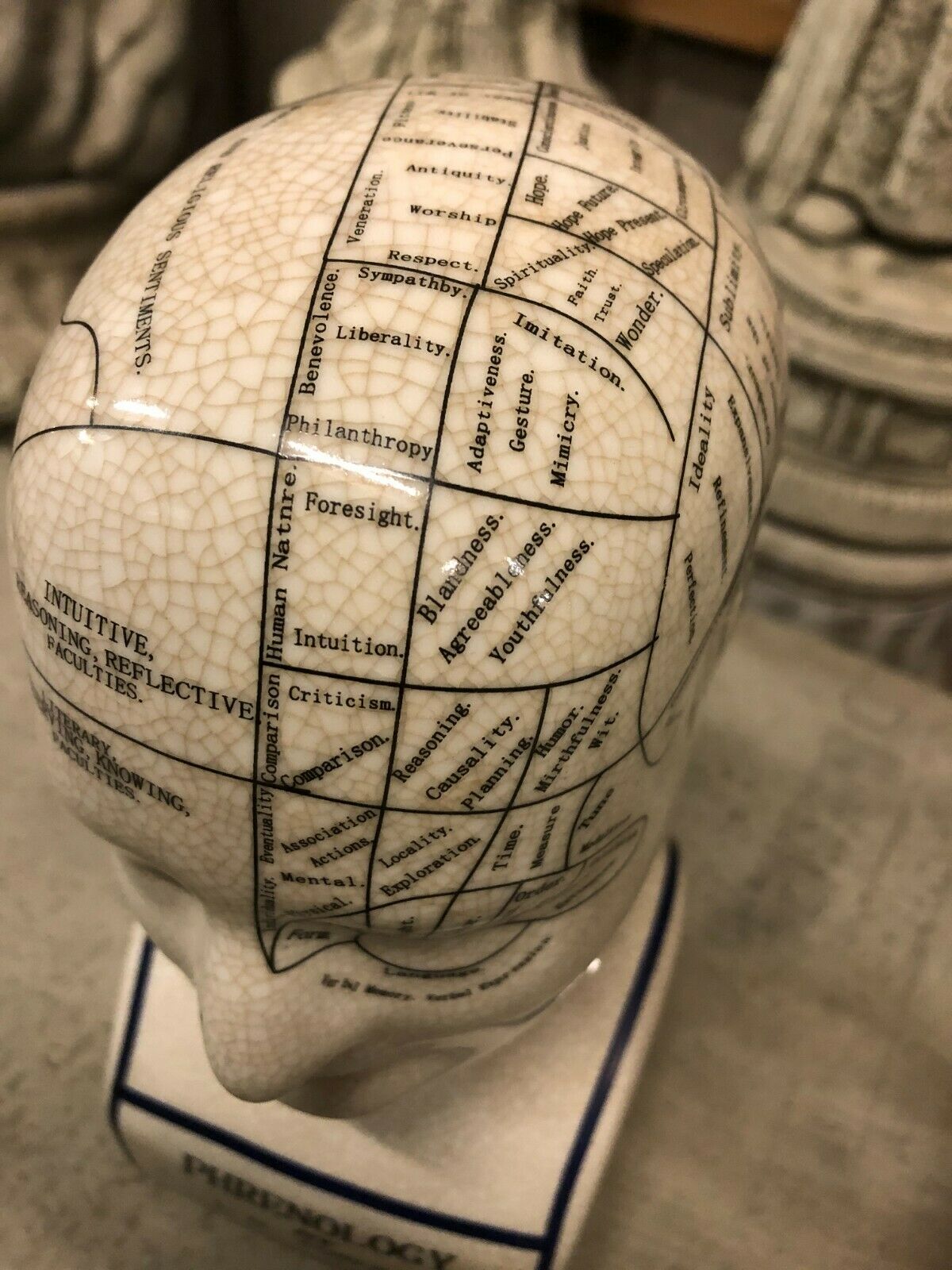 Ceramic Phrenology Head & Hand Ornaments