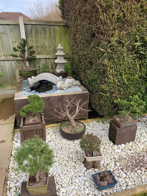 Stone pond bridge garden ornament with antique finish in a zen-style garden, surrounded by bonsai plants and white decorative stones.