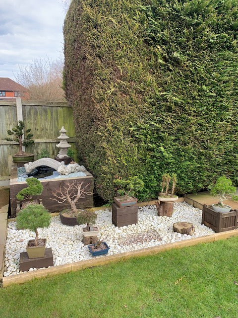 Decorative stone pond bridge garden ornament in landscaped garden with bonsai trees, white gravel, and wooden planters.