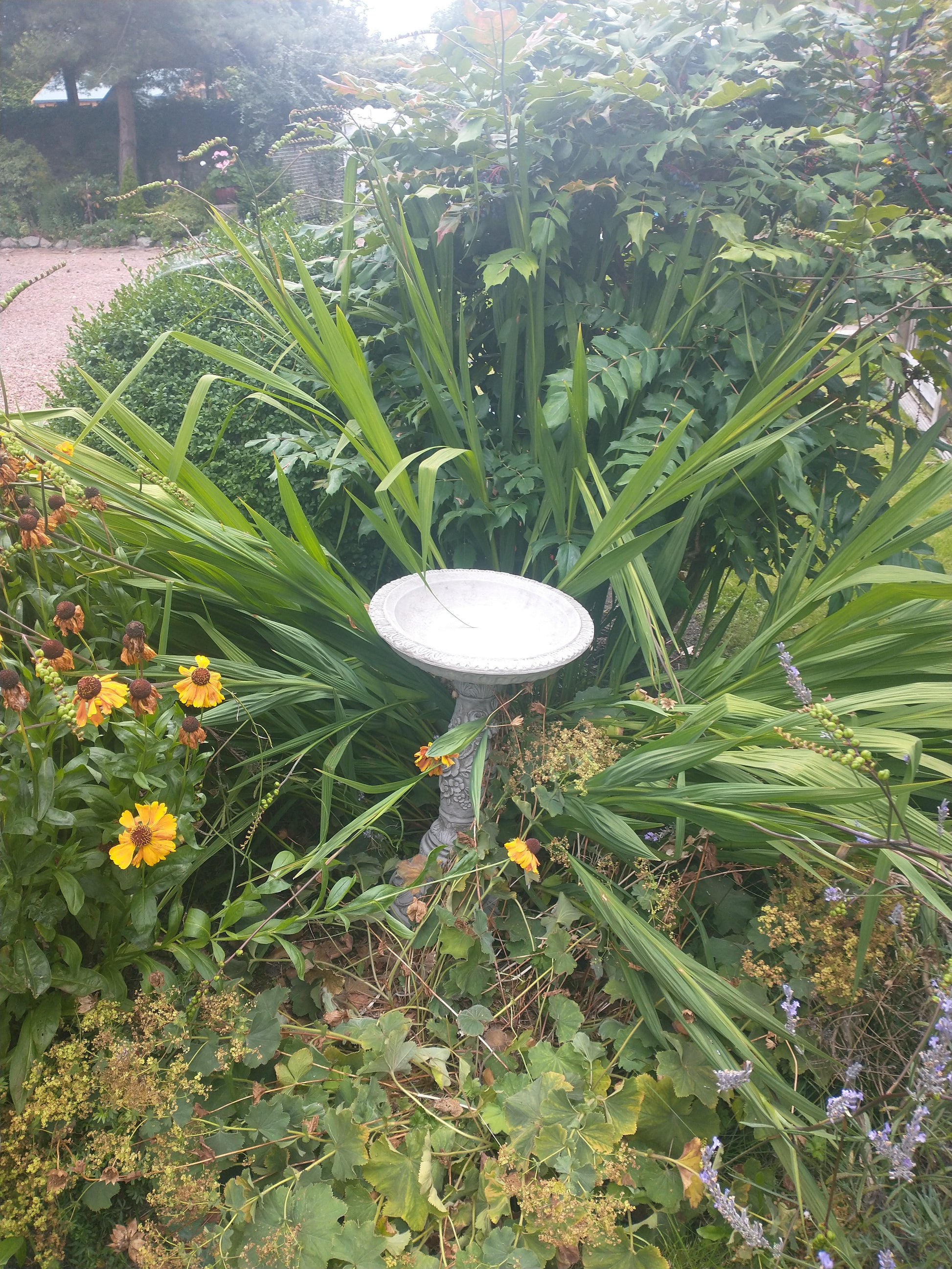 Stone Flower Petal Bird Bath