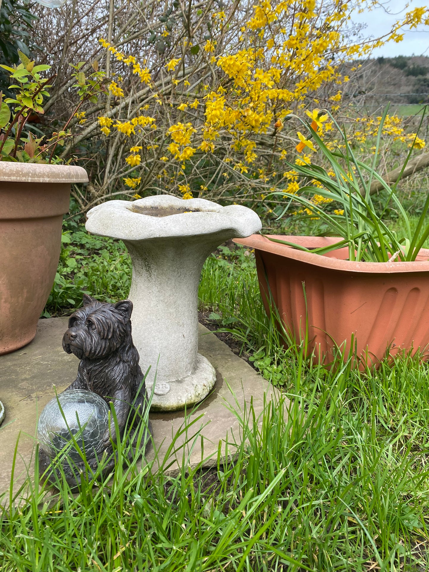 Handcrafted Stone Mushroom Bird Bath in garden setting, frostproof design with decorative base, surrounded by planters and spring flowers.