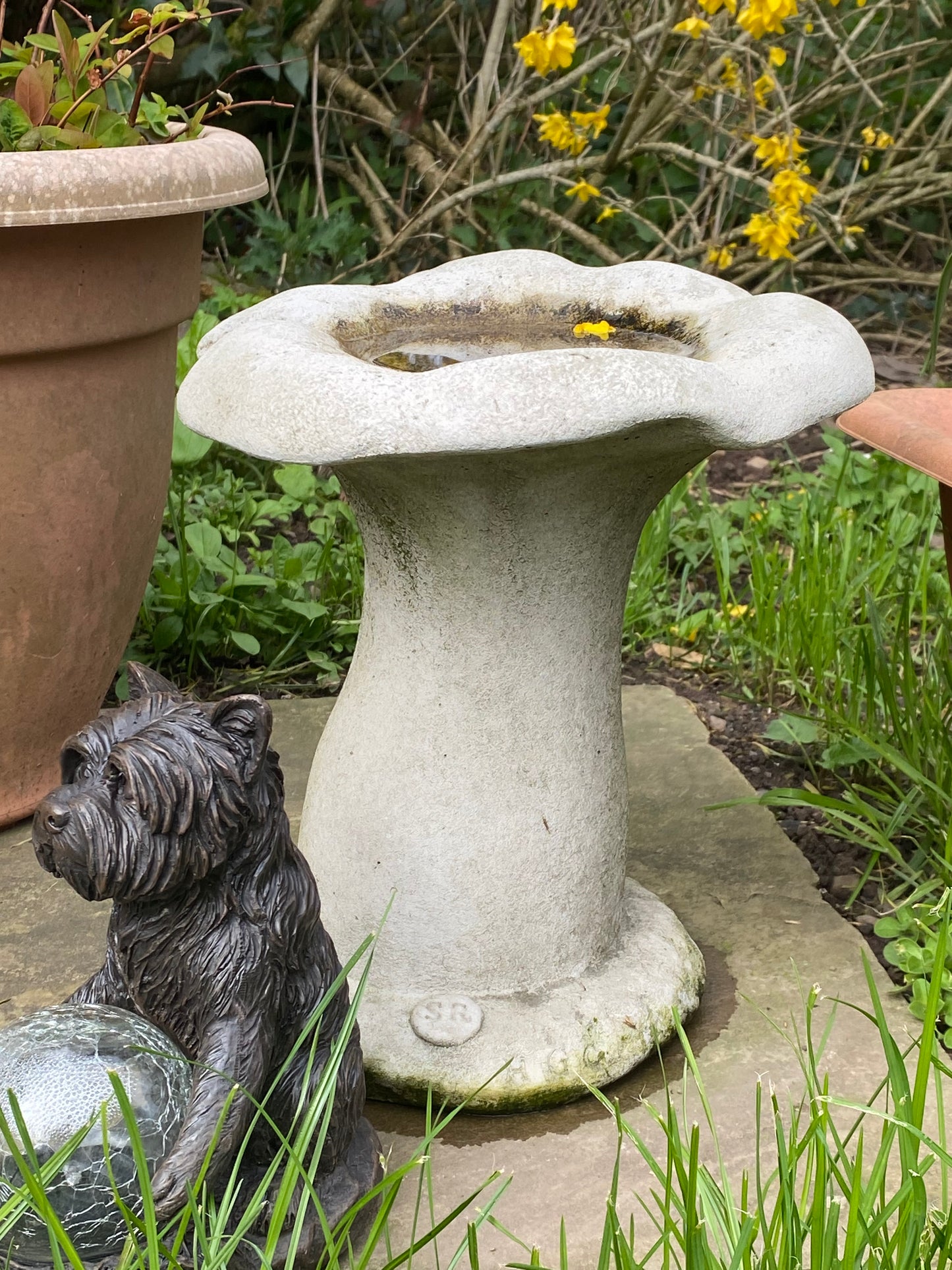 Stone Mushroom Bird Bath - Frostproof & Handcrafted garden ornament with wide bowl and pedestal base, ideal for outdoor bird feeding and decoration.