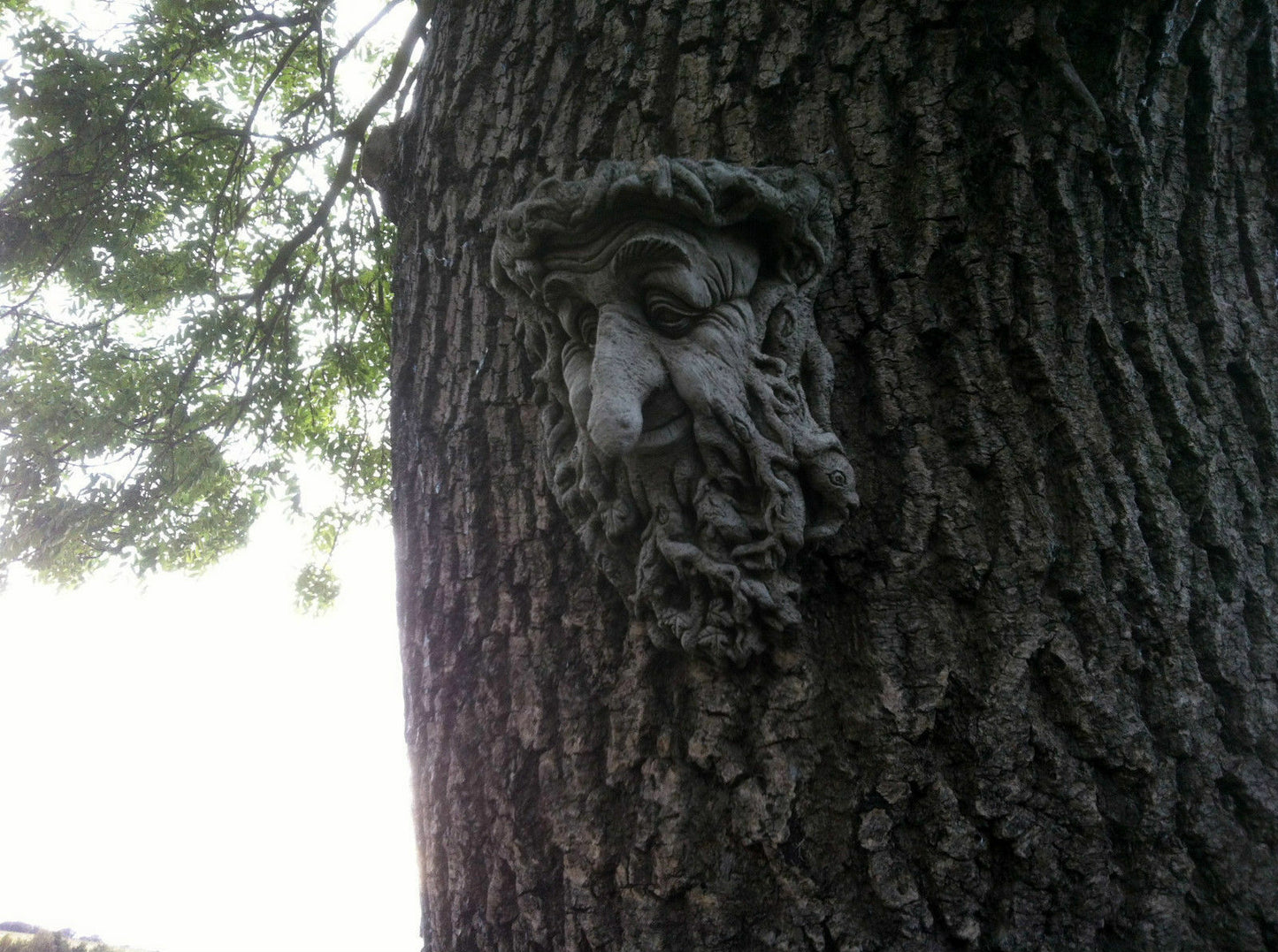 Stone Long Nose Greenman Wall Plaque
