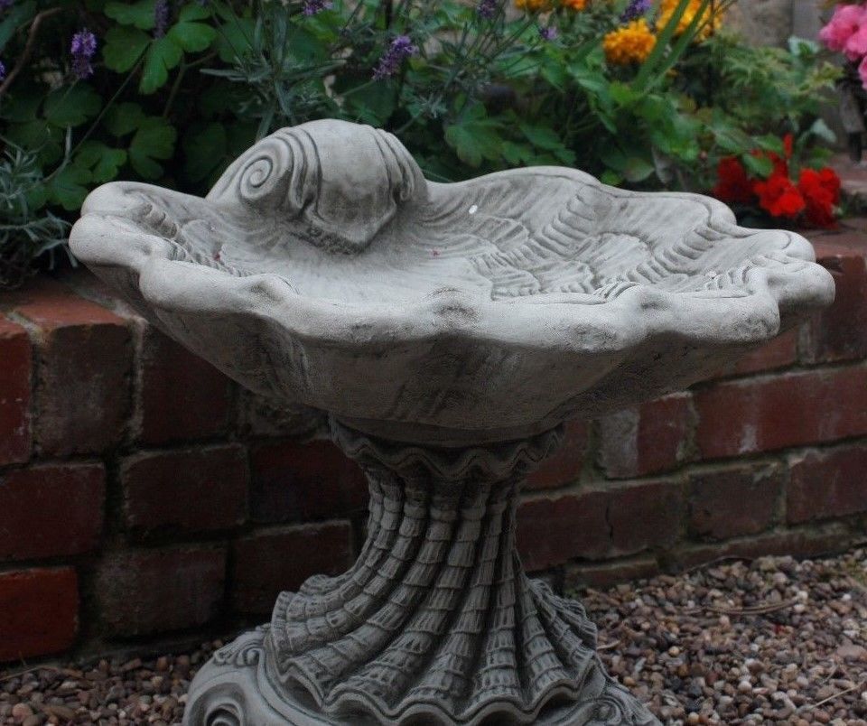 Stone Shell Design Bird Bath