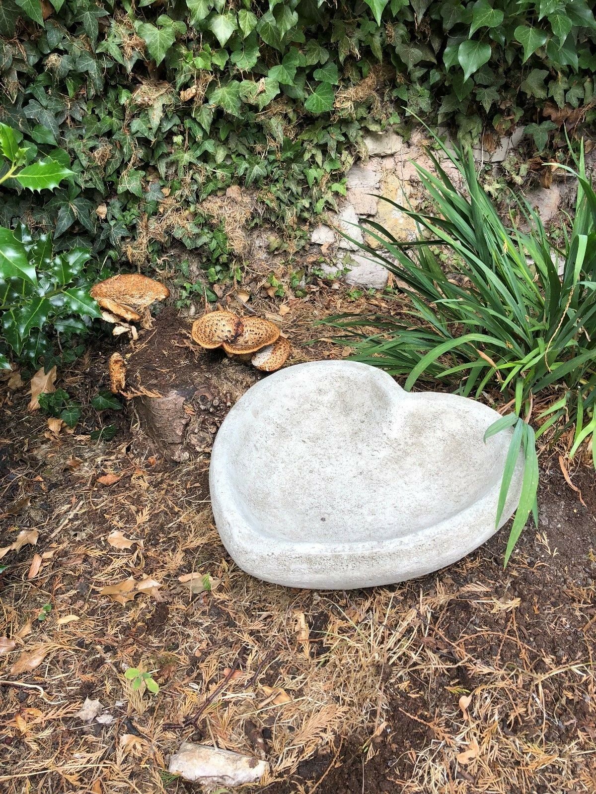 Stone Heart Bird Bath/Feeder