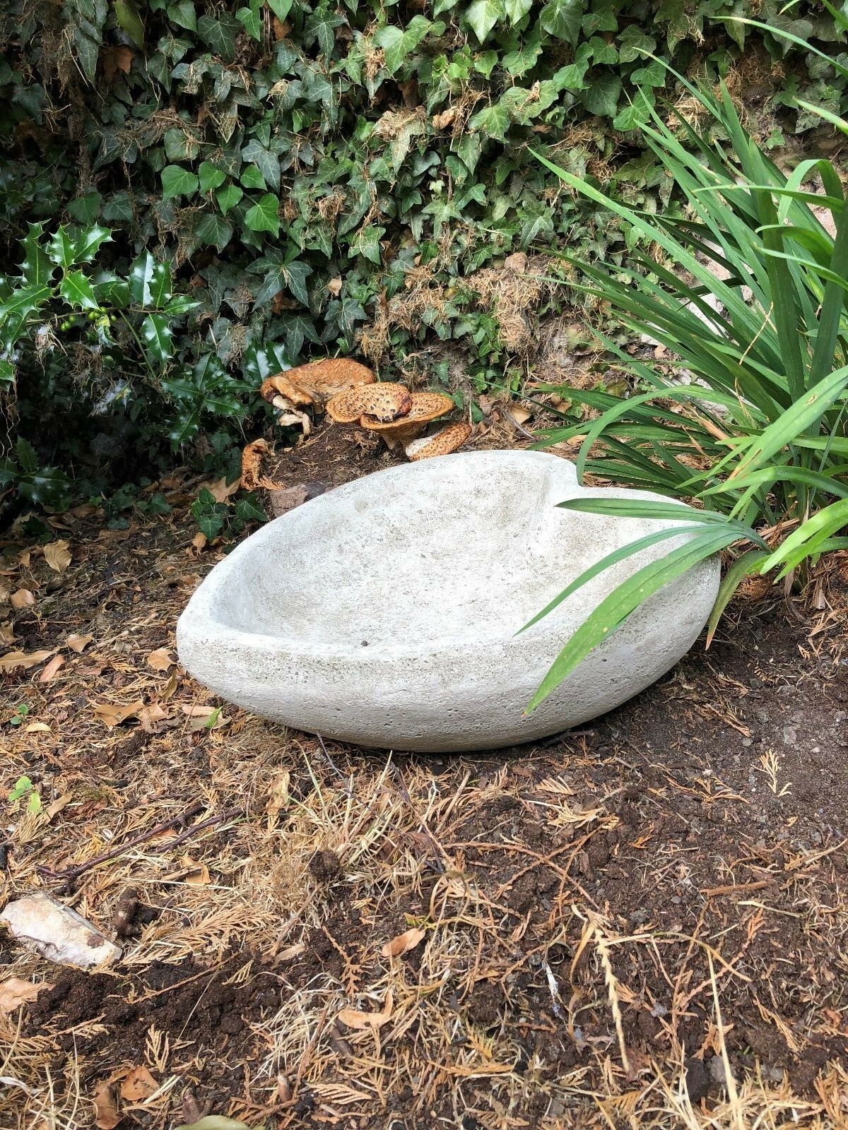 Stone Heart Bird Bath/Feeder