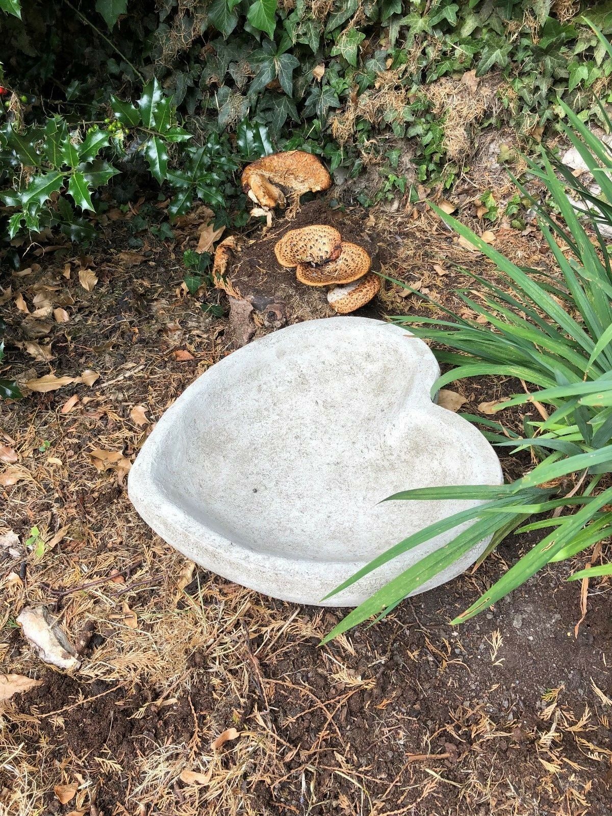 Stone Heart Bird Bath/Feeder