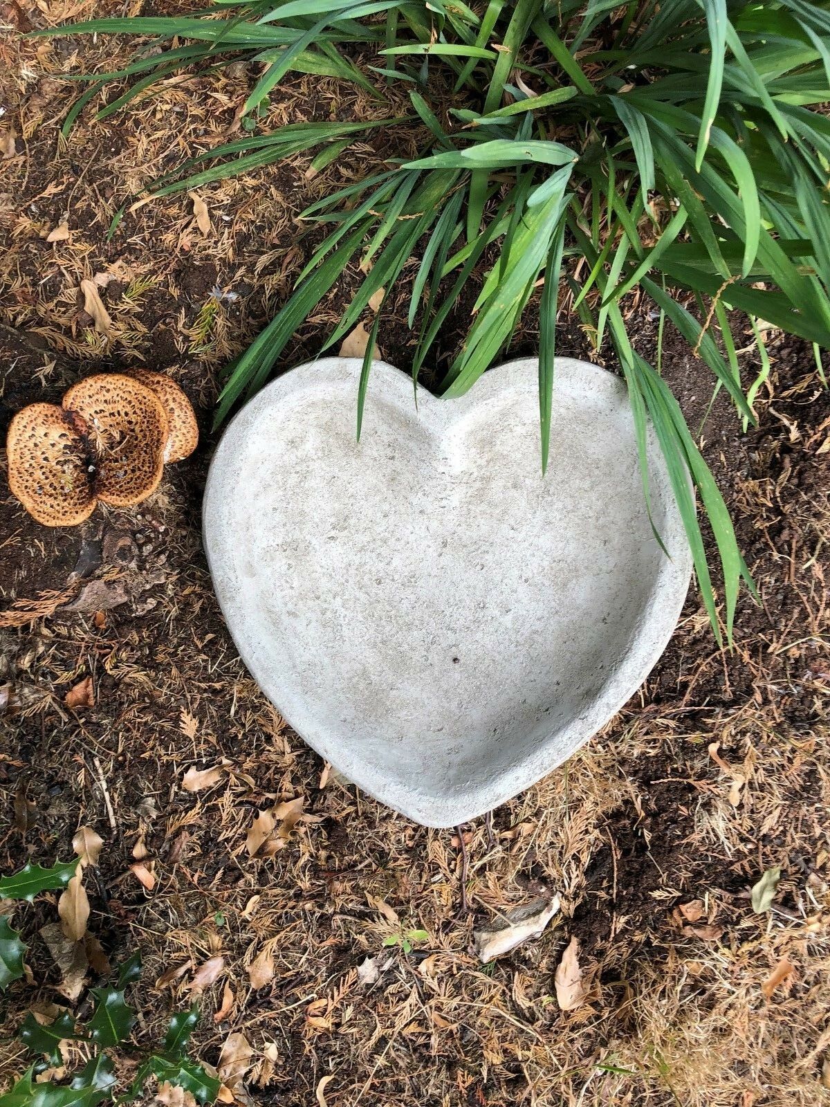 Stone Heart Bird Bath/Feeder