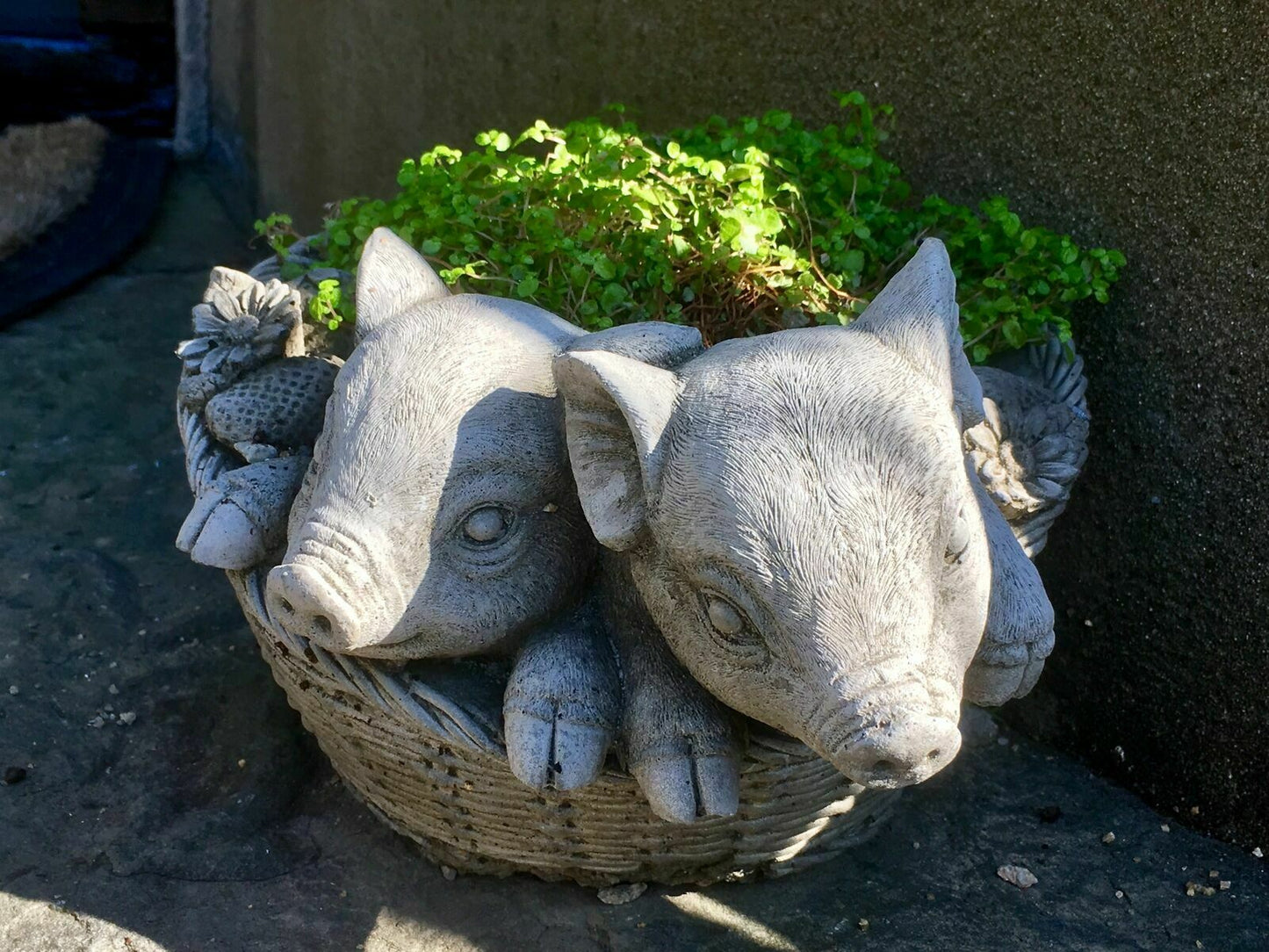 Stone Pig Planter Garden Ornament