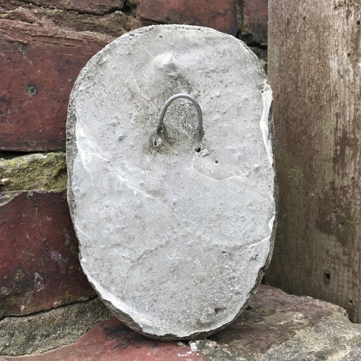 Funny Stone Fart Face Wall Plaque