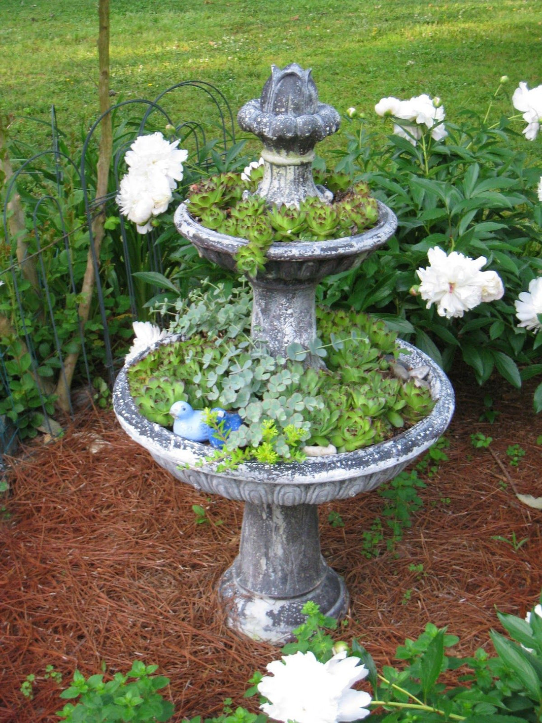 How To Change Old Bird Bath/Fountain Into Planter
