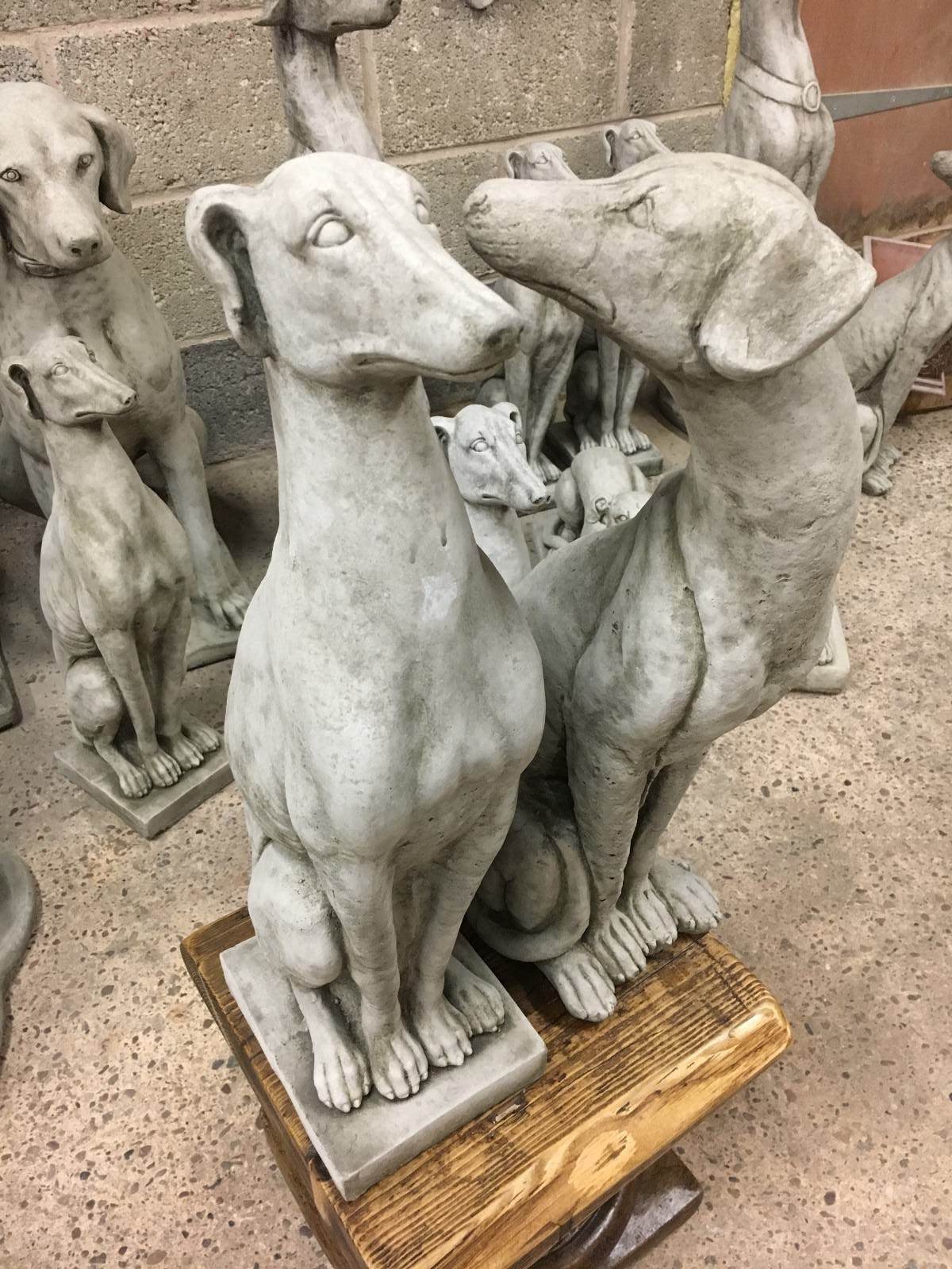 Pair of Stone Greyhound/Whippet Dog Statues