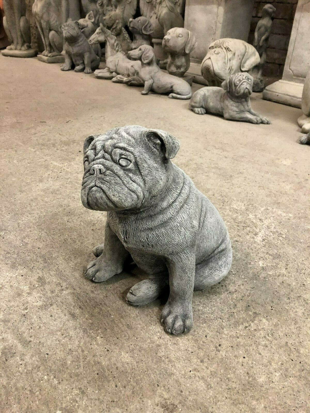 Grey clearance british bulldog