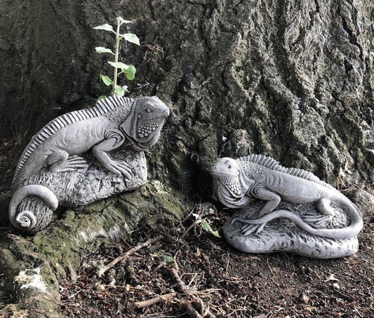 Stunning Stone Pair of Iguana Sculpture Garden Ornaments