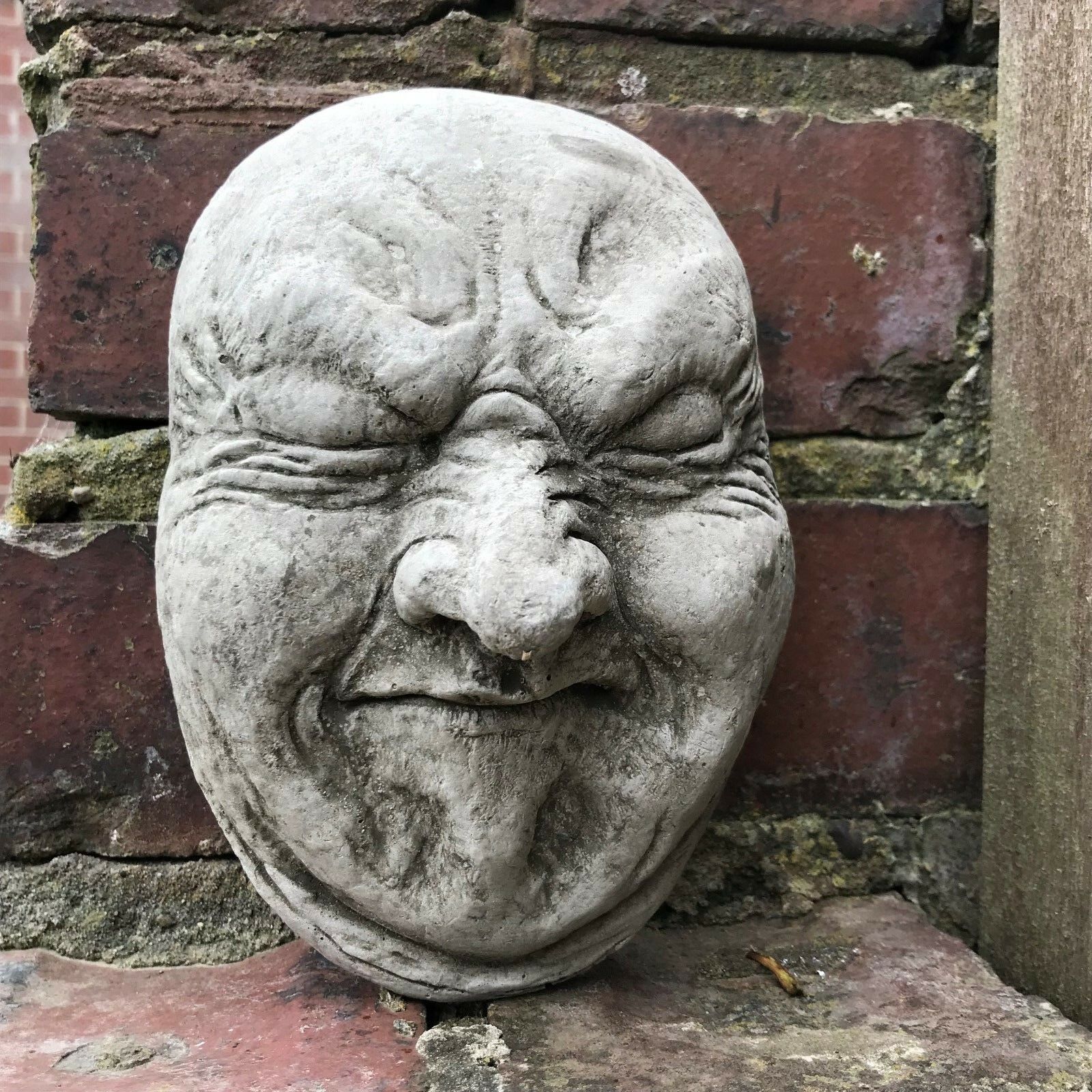 Funny Stone Fart Face Wall Plaque