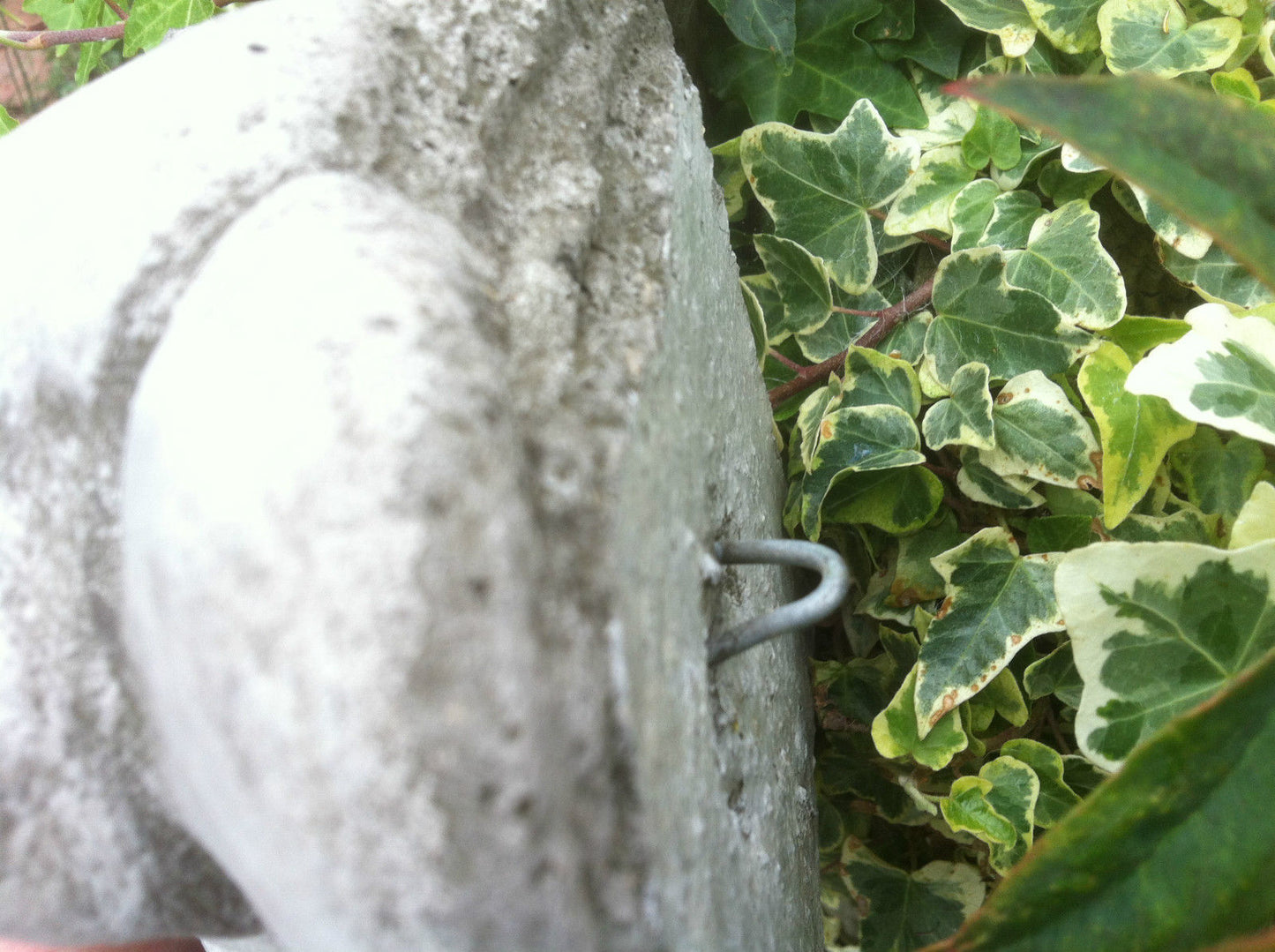 Stunning Stone Little Gargoyle Sculpture Garden Wall Ornament
